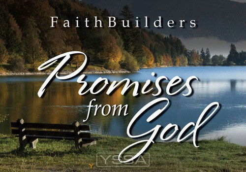 Promises from God - 5 x 4 designs