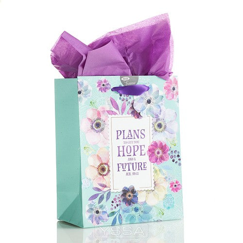 Plans to give you hope - 200x120x245 mm