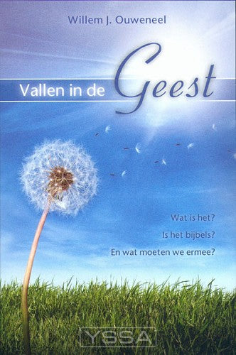 Vallen in de Geest