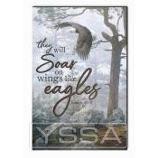 They will soar on wings like eagles