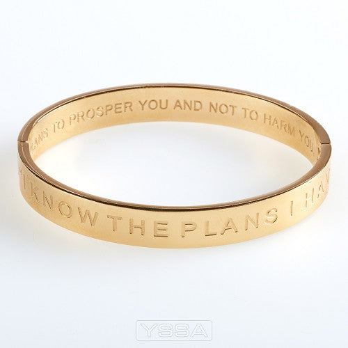 I know the plans - Hinged bangle
