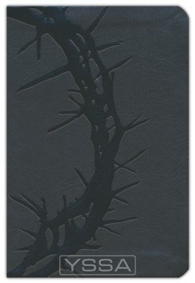 Compact LP Ref. Bible - Charcoal
