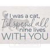 If I was a cat I'd spend all nine lives