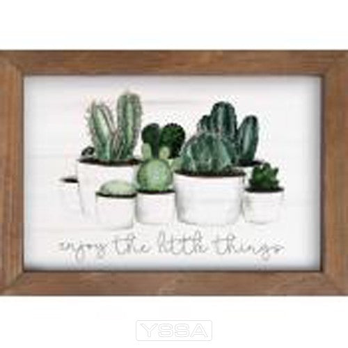 Enjoy the little things - Cactus