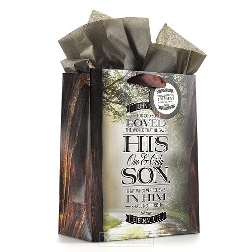 John 3:16 - 200x120x245 mm